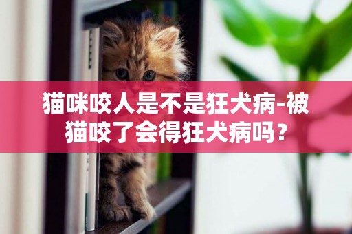 猫咪咬人是不是狂犬病-被猫咬了会得狂犬病吗？