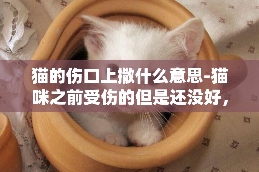 猫的伤口上撒什么意思-猫咪之前受伤的但是还没好，猫一直舔伤口是什么意思，猫不停舔伤口是什么情况？？