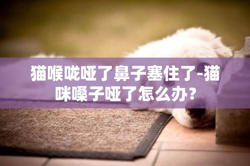 猫喉咙哑了鼻子塞住了-猫咪嗓子哑了怎么办？