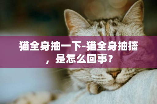 猫全身抽一下-猫全身抽搐，是怎么回事？