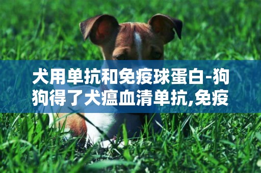 犬用单抗和免疫球蛋白-狗狗得了犬瘟血清单抗,免疫球蛋白能同时打吗