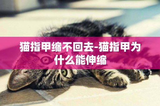 猫指甲缩不回去-猫指甲为什么能伸缩