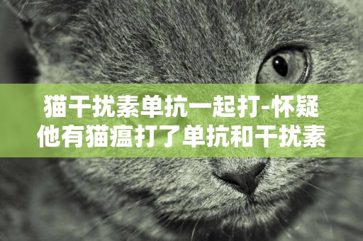 猫干扰素单抗一起打-怀疑他有猫瘟打了单抗和干扰素有什么影响猫小猫吃奶有影响吗？