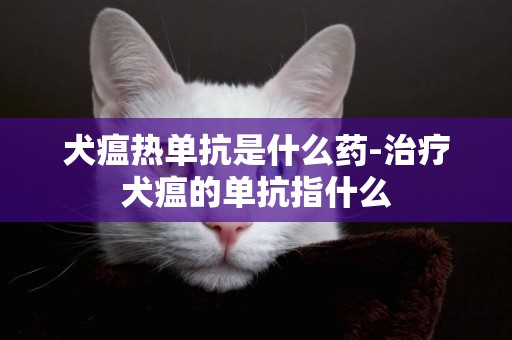 犬瘟热单抗是什么药-治疗犬瘟的单抗指什么