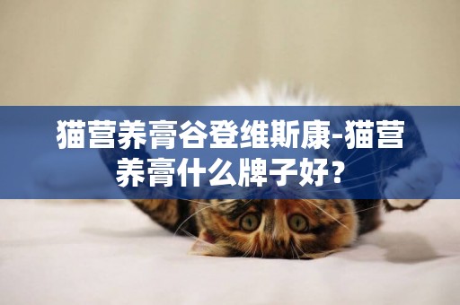 猫营养膏谷登维斯康-猫营养膏什么牌子好？