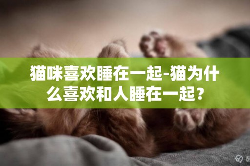 猫咪喜欢睡在一起-猫为什么喜欢和人睡在一起？