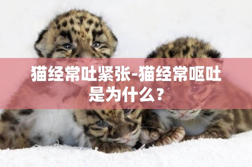 猫经常吐紧张-猫经常呕吐是为什么？