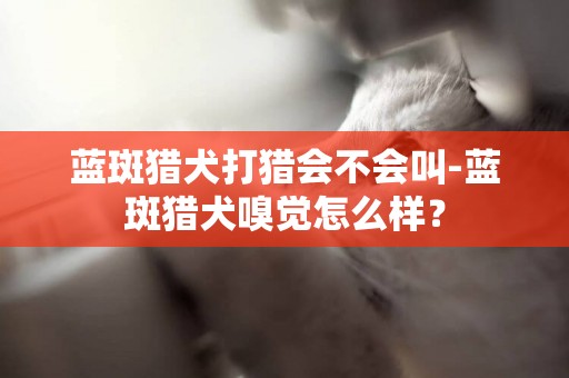 蓝斑猎犬打猎会不会叫-蓝斑猎犬嗅觉怎么样？