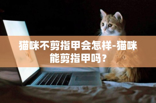 猫咪不剪指甲会怎样-猫咪能剪指甲吗？