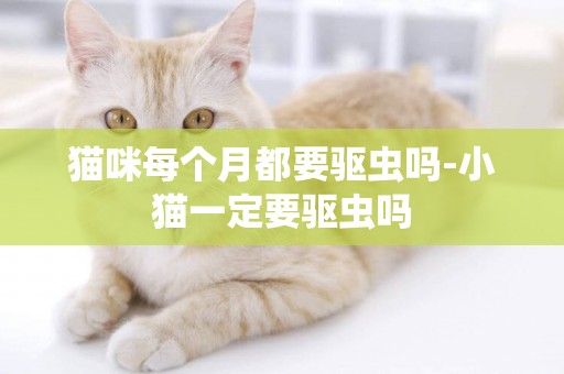 猫咪每个月都要驱虫吗-小猫一定要驱虫吗