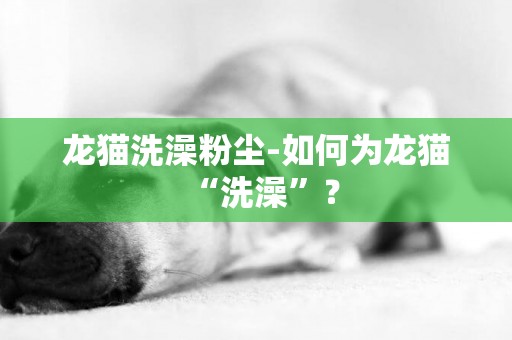 龙猫洗澡粉尘-如何为龙猫“洗澡”？