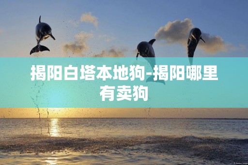 揭阳白塔本地狗-揭阳哪里有卖狗