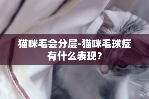 猫咪毛会分层-猫咪毛球症有什么表现？