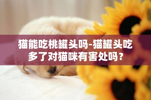 猫能吃桃罐头吗-猫罐头吃多了对猫咪有害处吗？