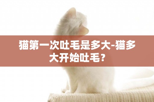 猫第一次吐毛是多大-猫多大开始吐毛？