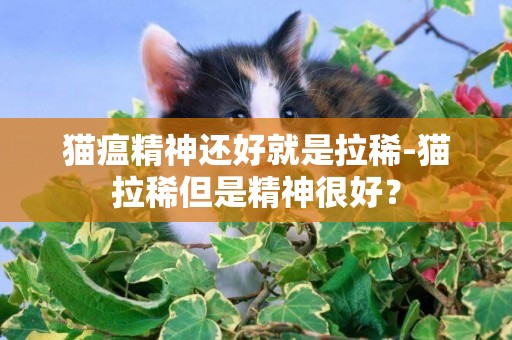 猫瘟精神还好就是拉稀-猫拉稀但是精神很好？