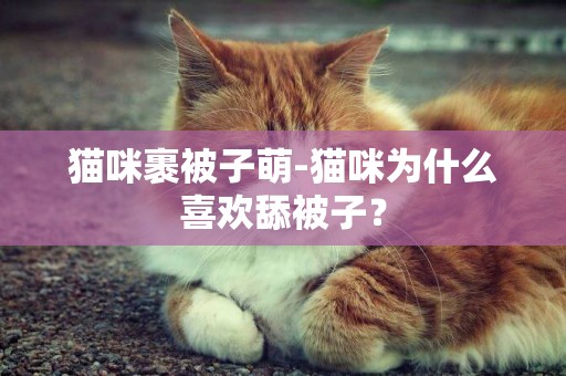 猫咪裹被子萌-猫咪为什么喜欢舔被子？