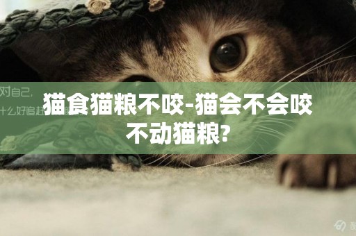 猫食猫粮不咬-猫会不会咬不动猫粮?