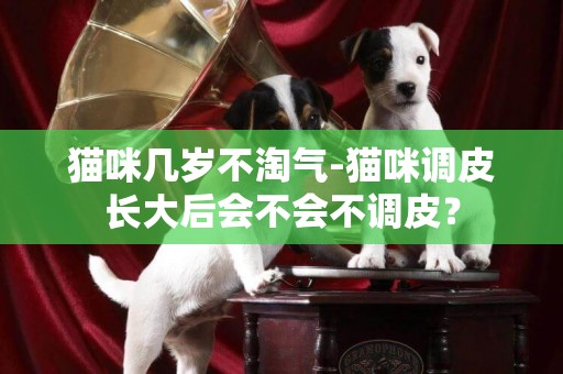 猫咪几岁不淘气-猫咪调皮长大后会不会不调皮？