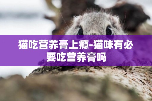 猫吃营养膏上瘾-猫咪有必要吃营养膏吗