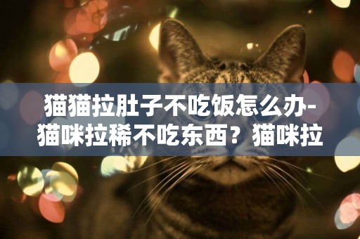 猫猫拉肚子不吃饭怎么办-猫咪拉稀不吃东西？猫咪拉稀不吃饭怎么办？