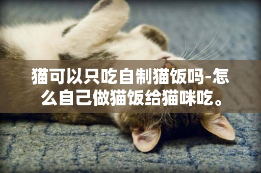 猫可以只吃自制猫饭吗-怎么自己做猫饭给猫咪吃。