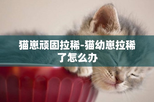 猫崽顽固拉稀-猫幼崽拉稀了怎么办