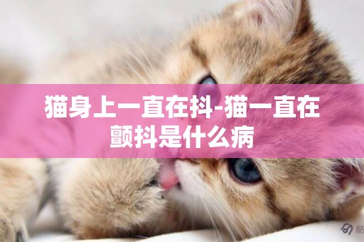 猫身上一直在抖-猫一直在颤抖是什么病