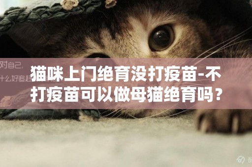 猫咪上门绝育没打疫苗-不打疫苗可以做母猫绝育吗？