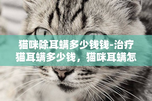 猫咪除耳螨多少钱钱-治疗猫耳螨多少钱，猫咪耳螨怎么治疗