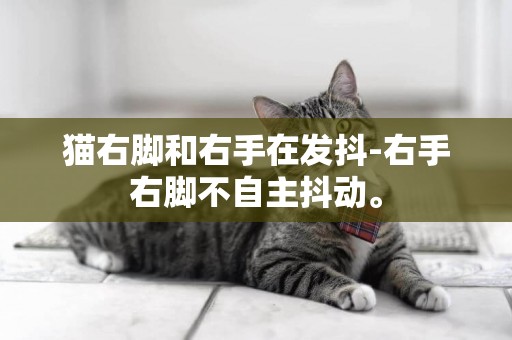 猫右脚和右手在发抖-右手右脚不自主抖动。