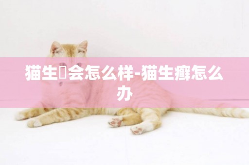 猫生廯会怎么样-猫生癣怎么办