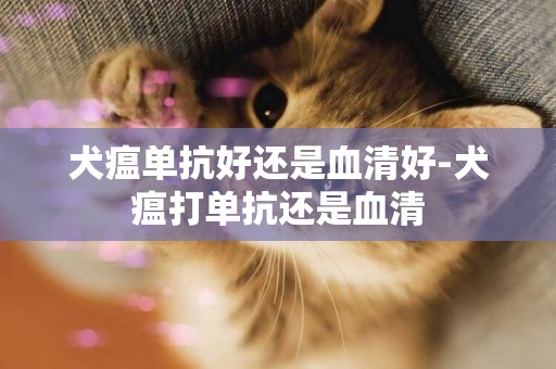 犬瘟单抗好还是血清好-犬瘟打单抗还是血清