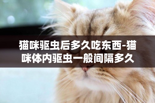 猫咪驱虫后多久吃东西-猫咪体内驱虫一般间隔多久