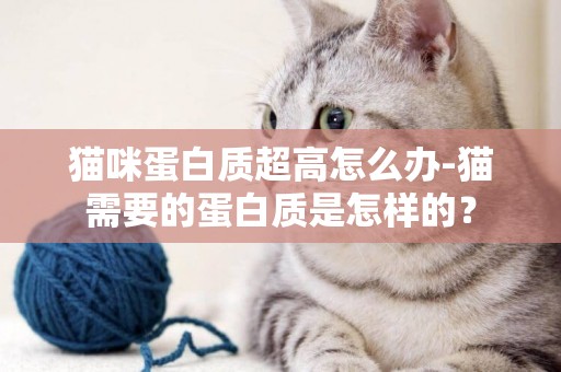 猫咪蛋白质超高怎么办-猫需要的蛋白质是怎样的？