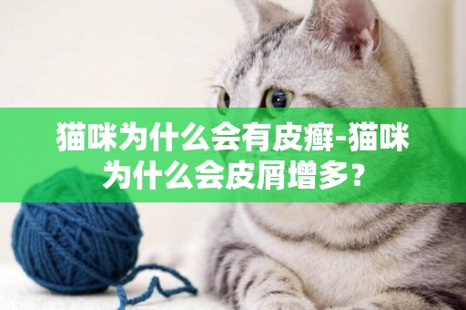 猫咪为什么会有皮癣-猫咪为什么会皮屑增多？