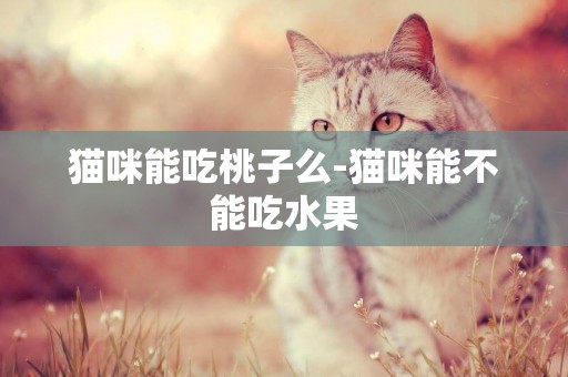 猫咪能吃桃子么-猫咪能不能吃水果