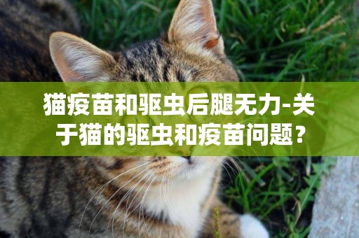 猫疫苗和驱虫后腿无力-关于猫的驱虫和疫苗问题？