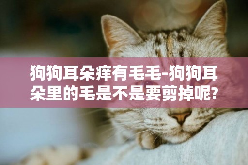 狗狗耳朵痒有毛毛-狗狗耳朵里的毛是不是要剪掉呢?