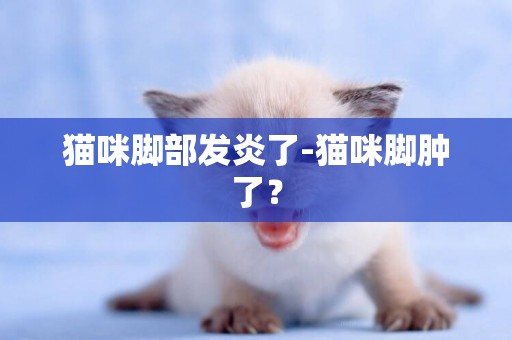 猫咪脚部发炎了-猫咪脚肿了？