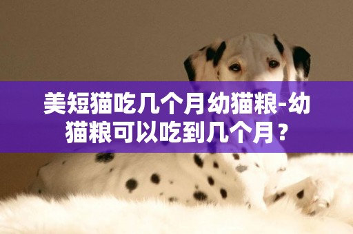 美短猫吃几个月幼猫粮-幼猫粮可以吃到几个月？