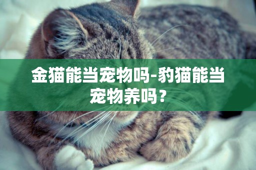 金猫能当宠物吗-豹猫能当宠物养吗？