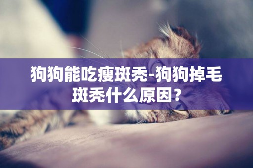 狗狗能吃瘦斑秃-狗狗掉毛斑秃什么原因？