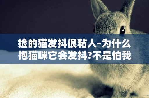 捡的猫发抖很粘人-为什么抱猫咪它会发抖?不是怕我,平时也很黏我的