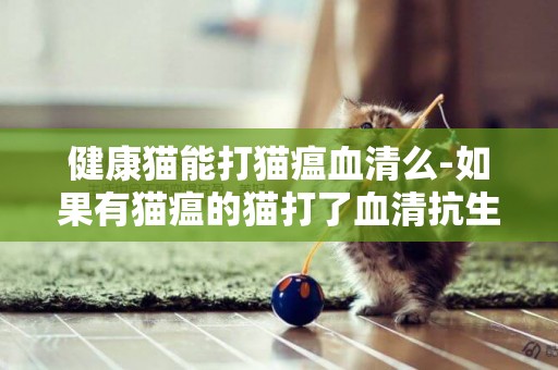 健康猫能打猫瘟血清么-如果有猫瘟的猫打了血清抗生素能测出来吗