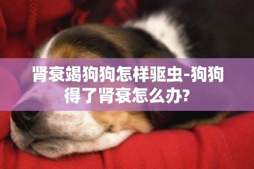 肾衰竭狗狗怎样驱虫-狗狗得了肾衰怎么办?