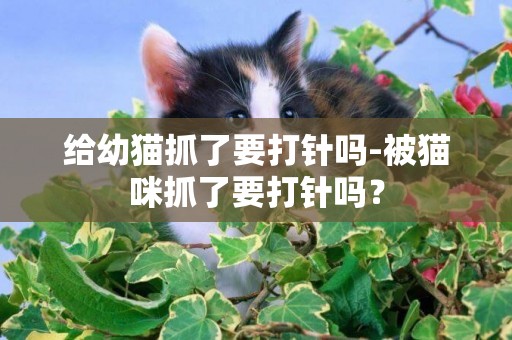 给幼猫抓了要打针吗-被猫咪抓了要打针吗？