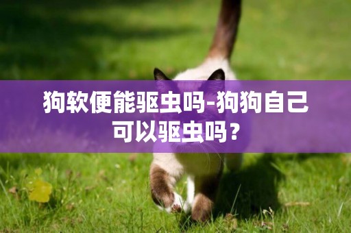 狗软便能驱虫吗-狗狗自己可以驱虫吗？