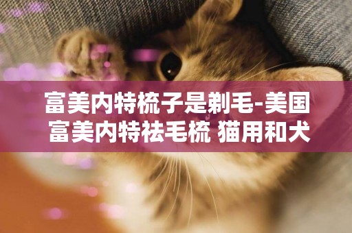 富美内特梳子是剃毛-美国 富美内特祛毛梳 猫用和犬用的区别