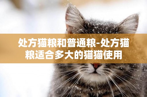 处方猫粮和普通粮-处方猫粮适合多大的猫猫使用